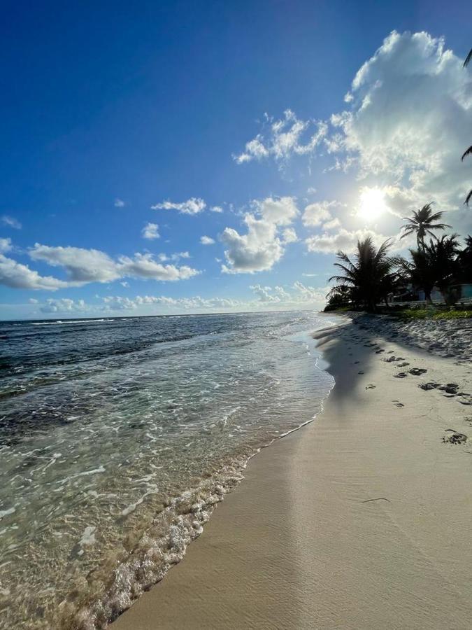 Appartement La Perle, T2 Les Pieds Dans L'Eau A 50M De La Mer Сен Франсоа Екстериор снимка